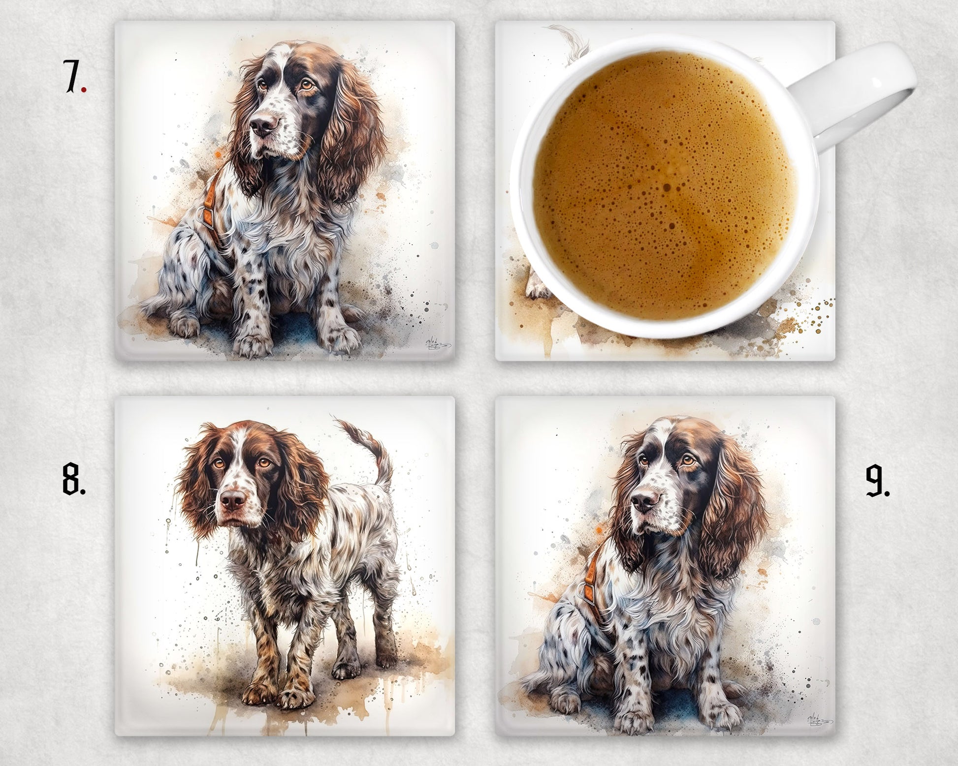 Springer Spaniel Glass Coaster 1 x coaster supplied 12 to choose from image 2