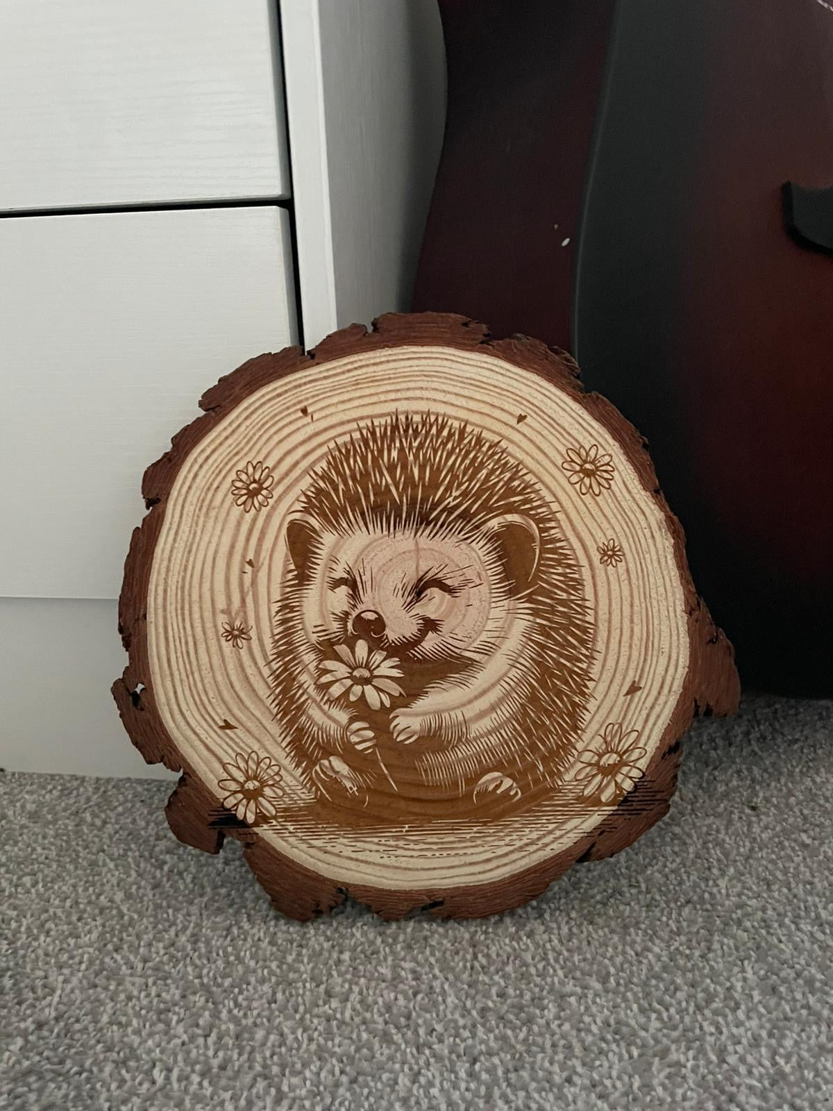 Hedgehog with Daisies wooden slice art
