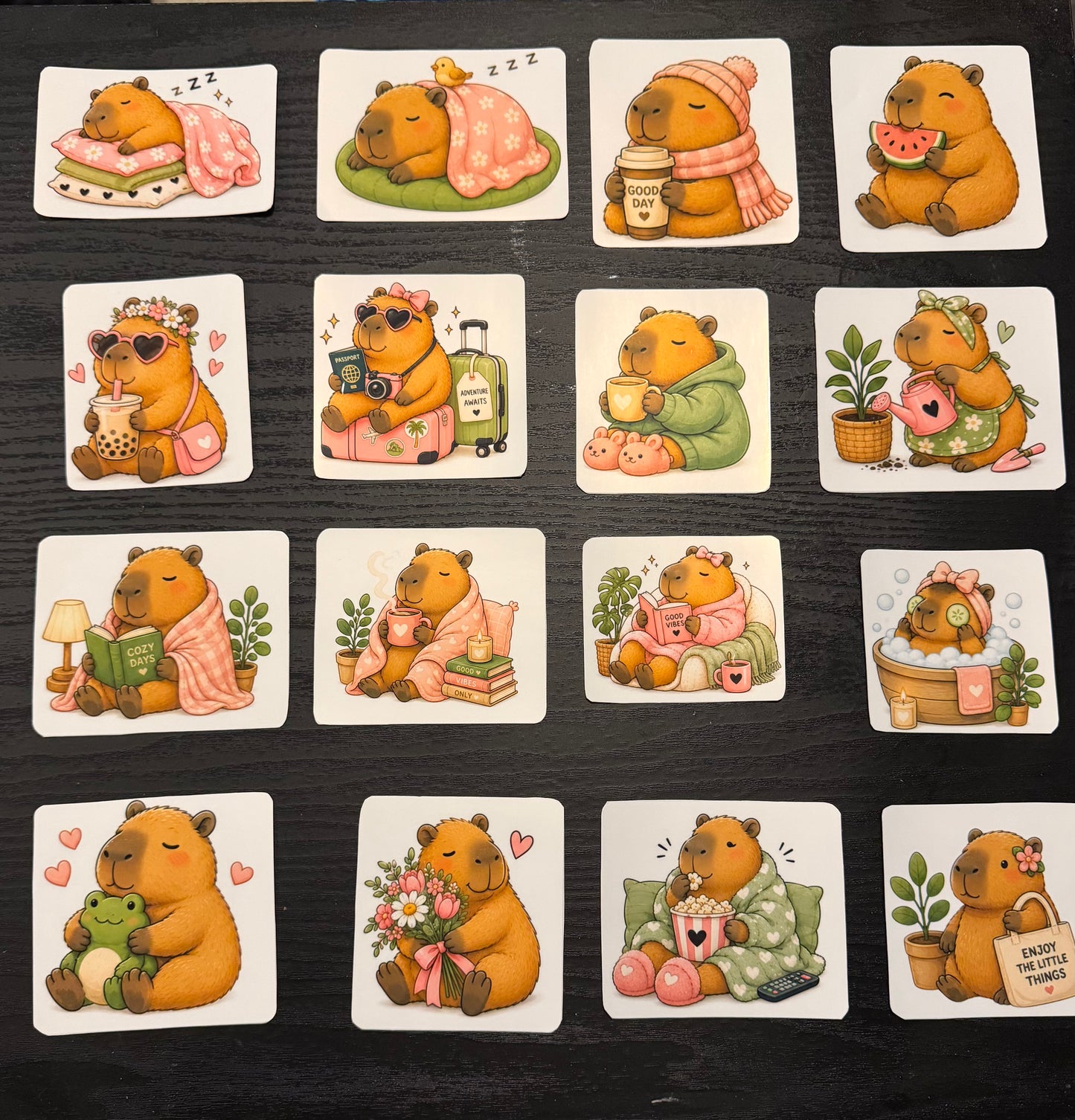 Cute Capybara Stickers 16 set