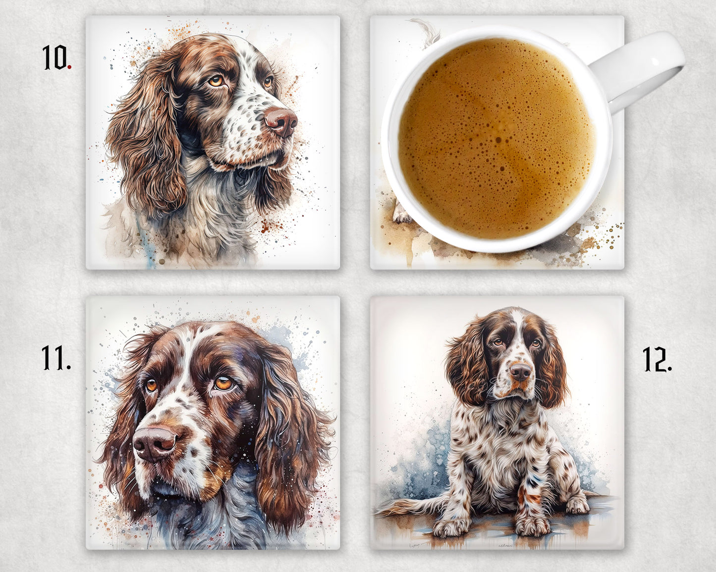 Springer Spaniel Glass Coaster 1 x coaster supplied 12 to choose from image 3